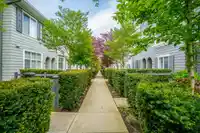 69 8130 136A STREET - thumbnail 35