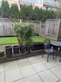 111 8142 120A STREET - thumbnail 7