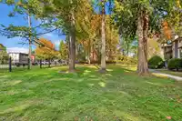 14803 HOLLY PARK LANE - thumbnail 38