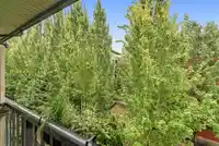 411 13897 FRASER HIGHWAY - thumbnail 10