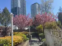 311 10128 132 STREET - thumbnail 28