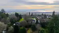 13364 57 AVENUE - thumbnail 6