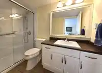301 17695 58 AVENUE - thumbnail 18