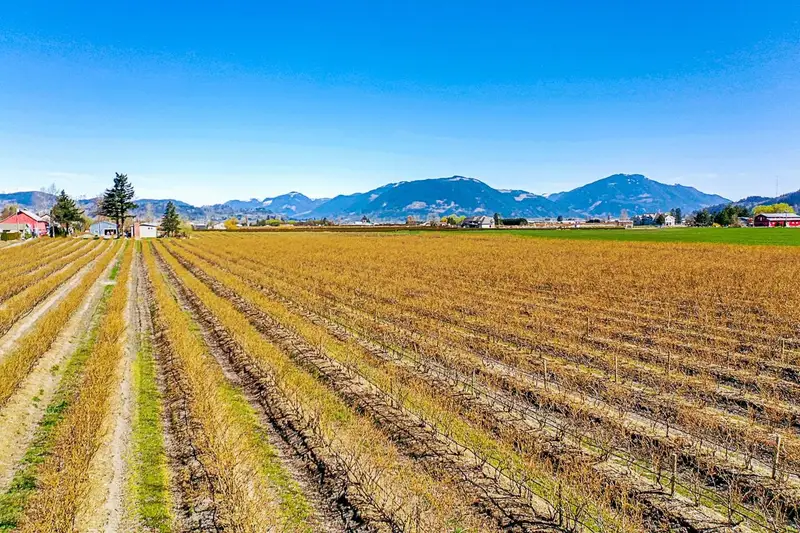 34221 TOWNSHIPLINE ROAD - photo 3 of 25