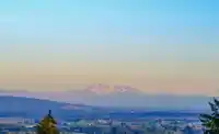 1808 13615 FRASER HIGHWAY - thumbnail 34