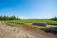 15448 56 AVENUE - thumbnail 16