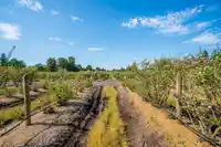 15448 56 AVENUE - thumbnail 20
