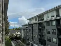 416 15858 FRASER HIGHWAY - thumbnail 17