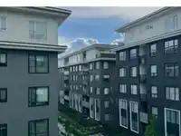 416 15858 FRASER HIGHWAY - thumbnail 18
