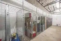 105 13678 GROSVENOR ROAD - thumbnail 18