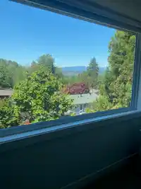 11315 LOUGHREN DRIVE - thumbnail 13
