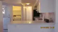 9762 116 STREET - thumbnail 28