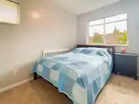 52 15175 62A AVENUE - thumbnail 17