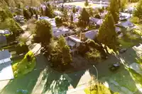 9840 158A STREET - thumbnail 4