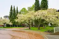 206 15150 108 AVENUE - thumbnail 39