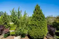 52 15155 62A AVENUE - thumbnail 16