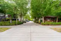 11 16772 61 AVENUE - thumbnail 39
