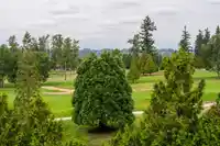 308 16499 64 AVENUE - thumbnail 31