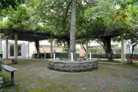 206 12633 72 AVENUE - thumbnail 29