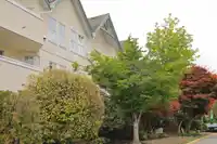 206 12633 72 AVENUE - thumbnail 33