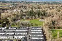 62 6885 184 STREET - thumbnail 29