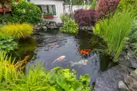 13474 67 AVENUE - thumbnail 22