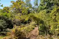 9533 139 STREET - thumbnail 16
