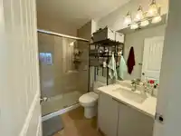 17585 59 AVENUE - thumbnail 18