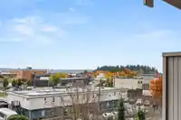 423 17769 57 AVENUE - thumbnail 25