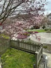 18 6852 193 STREET - thumbnail 22