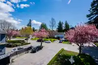 14115 76 AVENUE - thumbnail 40