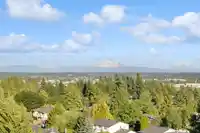 403 19228 64 AVENUE - thumbnail 20