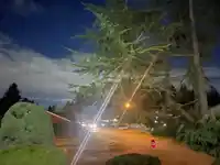 12994 96A AVENUE - thumbnail 30
