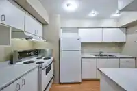 10509 HOLLY PARK LANE LANE - thumbnail 8