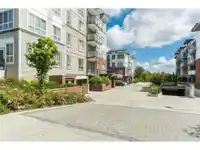 205 6438 195A STREET - thumbnail 14