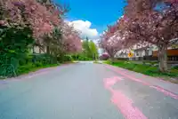 10123 158A STREET - thumbnail 38