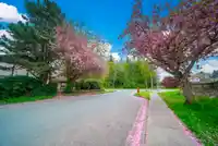 10123 158A STREET - thumbnail 39