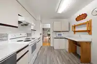101 10744 GUILDFORD DRIVE - thumbnail 4