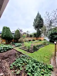 16188 111A AVENUE - thumbnail 18