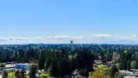 1805 13308 CENTRAL AVENUE - thumbnail 26