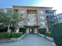 317 10707 139 STREET - thumbnail 1