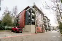 205 13931 FRASER HIGHWAY - thumbnail 4