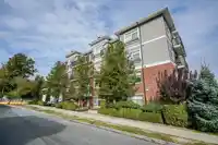 316 6480 195A STREET - thumbnail 3