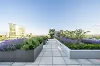 304 13350 CENTRAL AVENUE - thumbnail 19