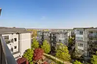 506 6480 195A STREET - thumbnail 20