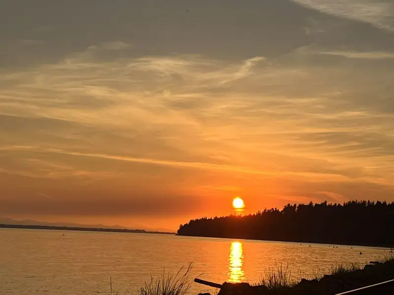 1309 ANDERSON STREET - photo 2 of 2