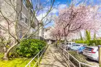 208 16137 83 AVENUE - thumbnail 35