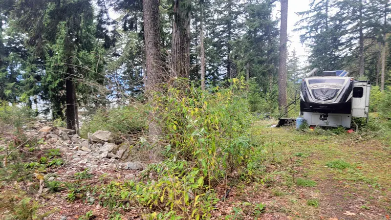 2 & 3 BATTANI CREEK ROAD - photo 4 of 4