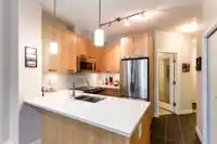 309 10455 154TH STREET - thumbnail 8