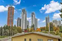 204 13897 FRASER HIGHWAY - thumbnail 23